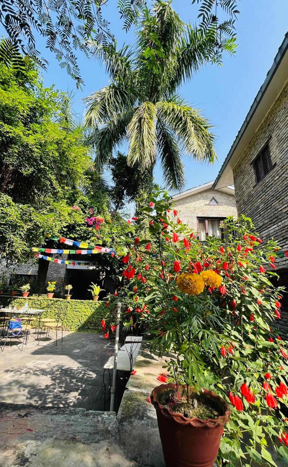 Mum'S Garden Resort โพคารา ภายนอก รูปภาพ